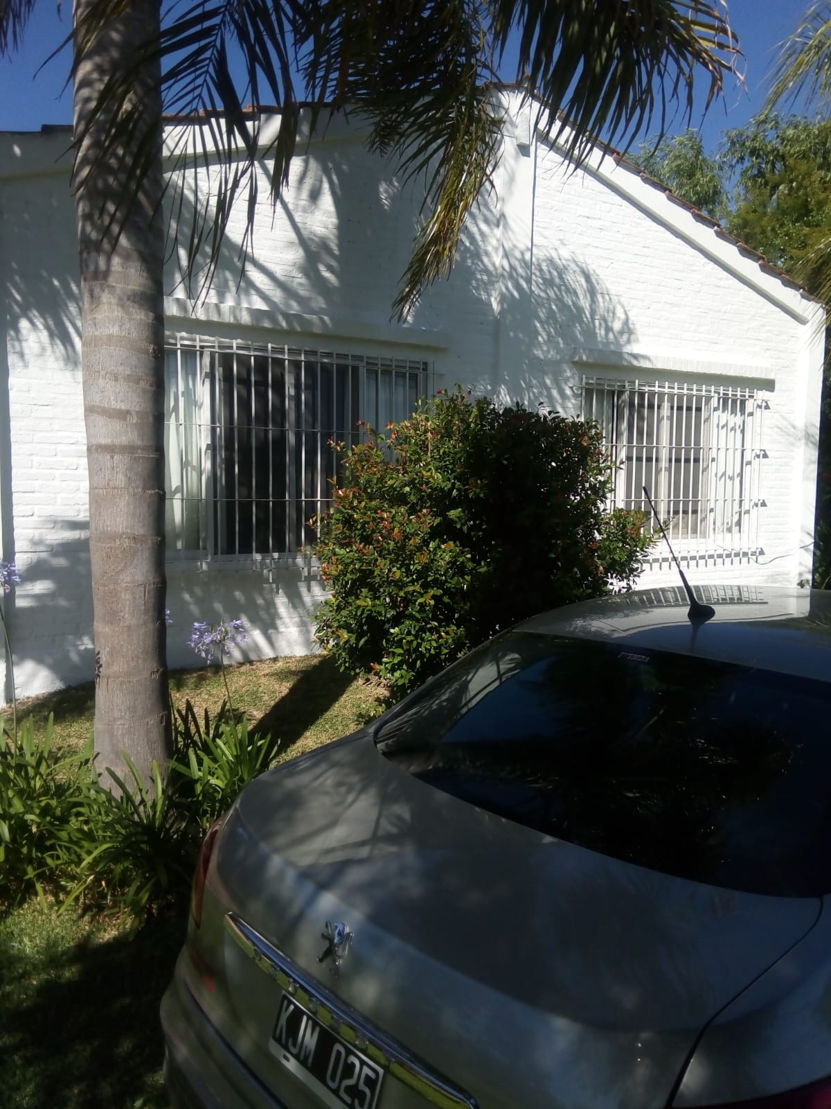 Calle 100