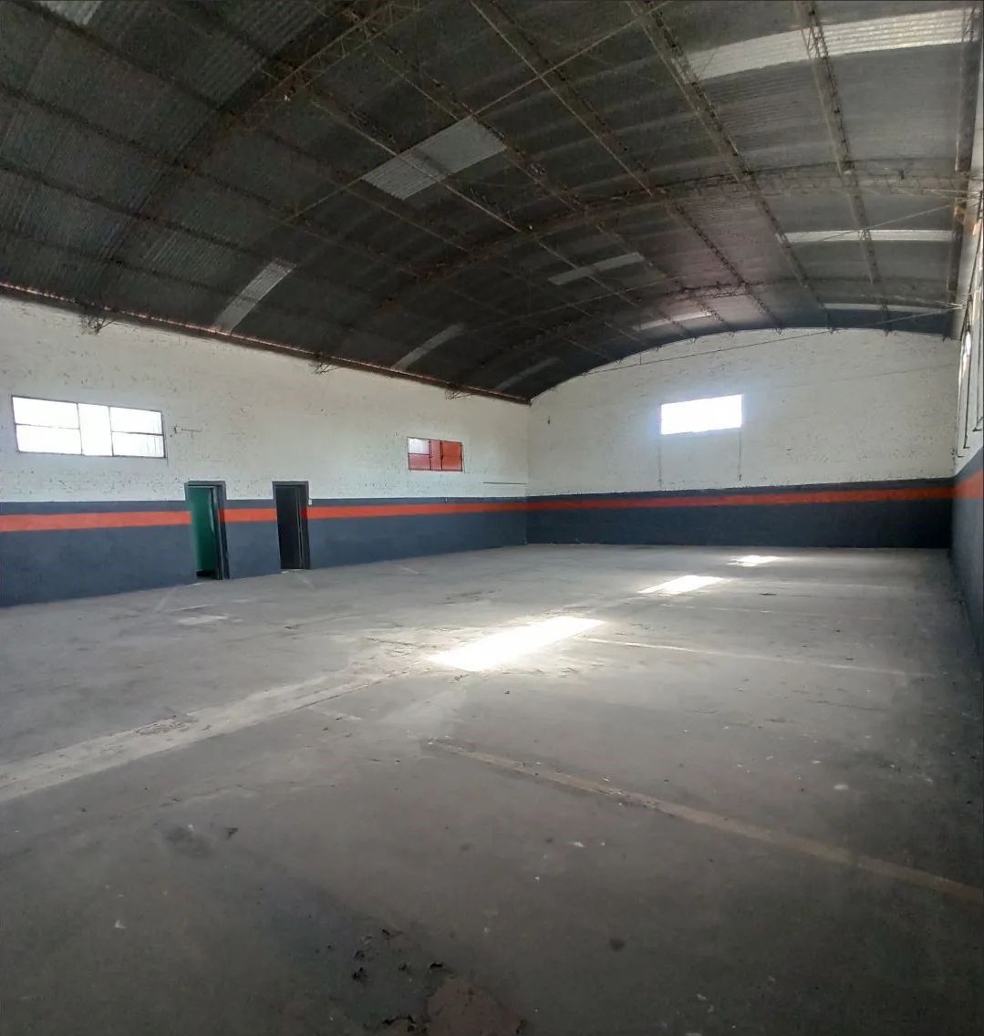 Boneo 2764