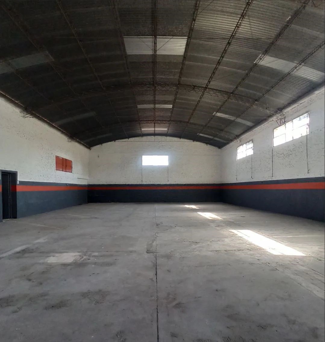 Boneo 2764