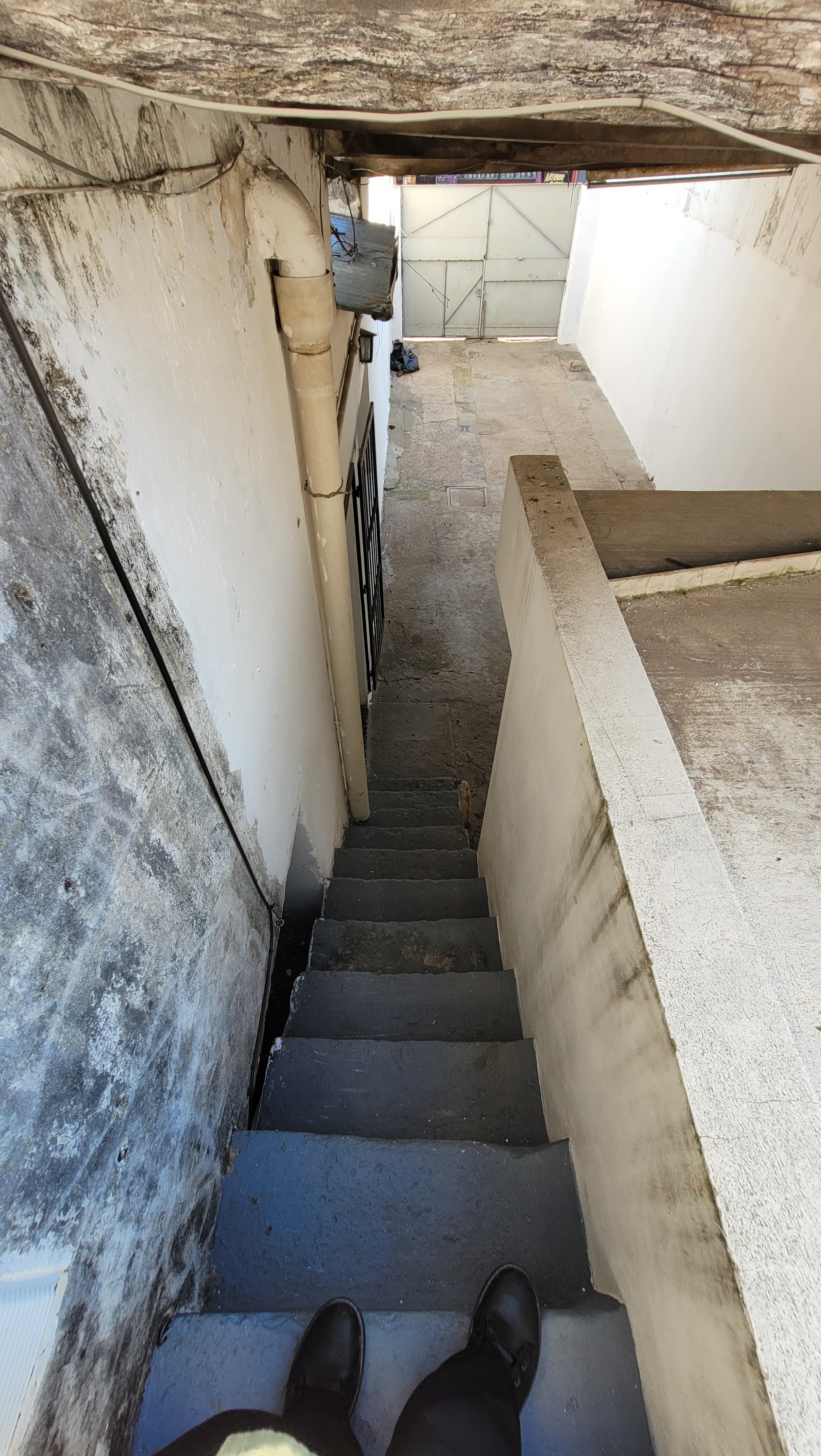 Diagonal Goyena 3525