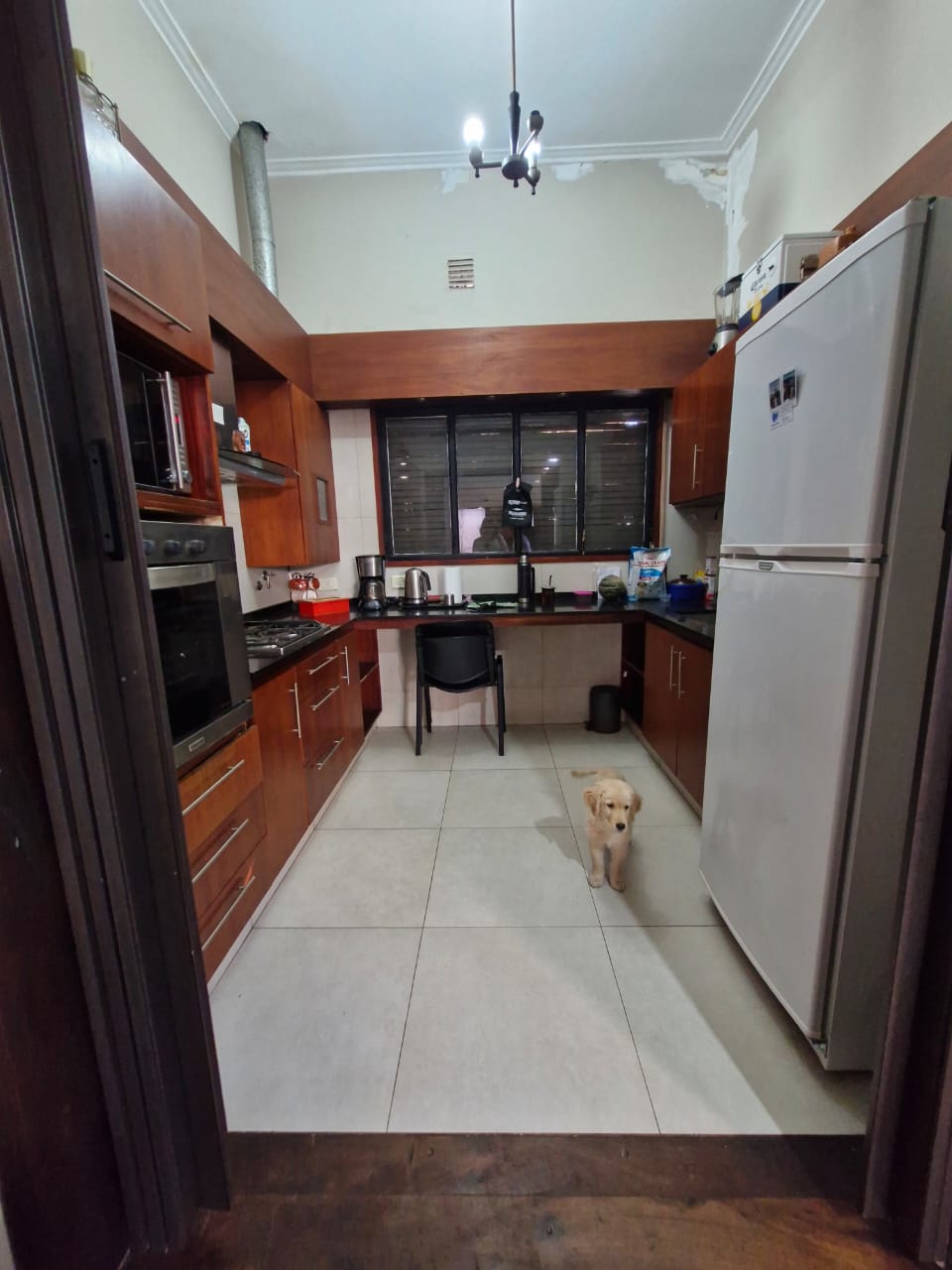 Alvear 3026
