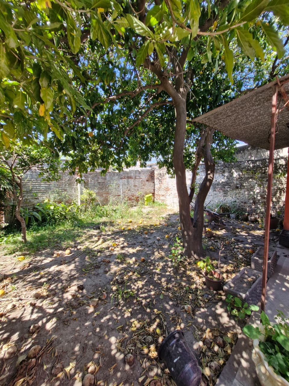 Arenales 7248